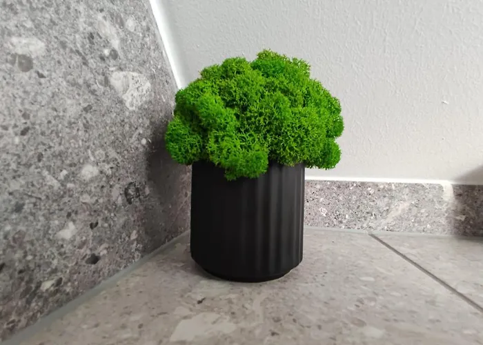 U Duszy بيت للعطل برينا