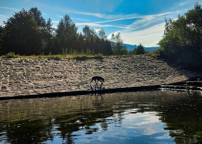 U Duszy * برينا