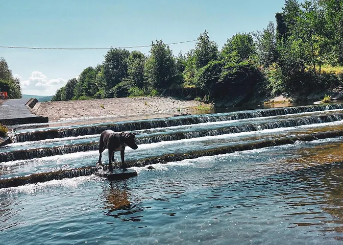 بيت للعطل U Duszy